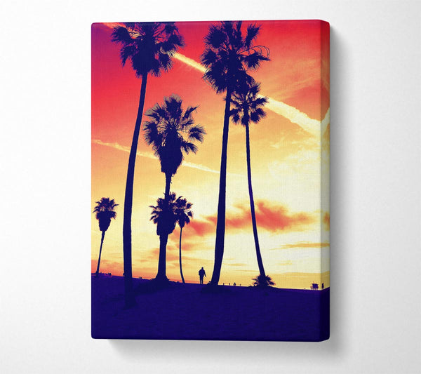  A Canvas Print of Palm Tree Sunset Canvas Print