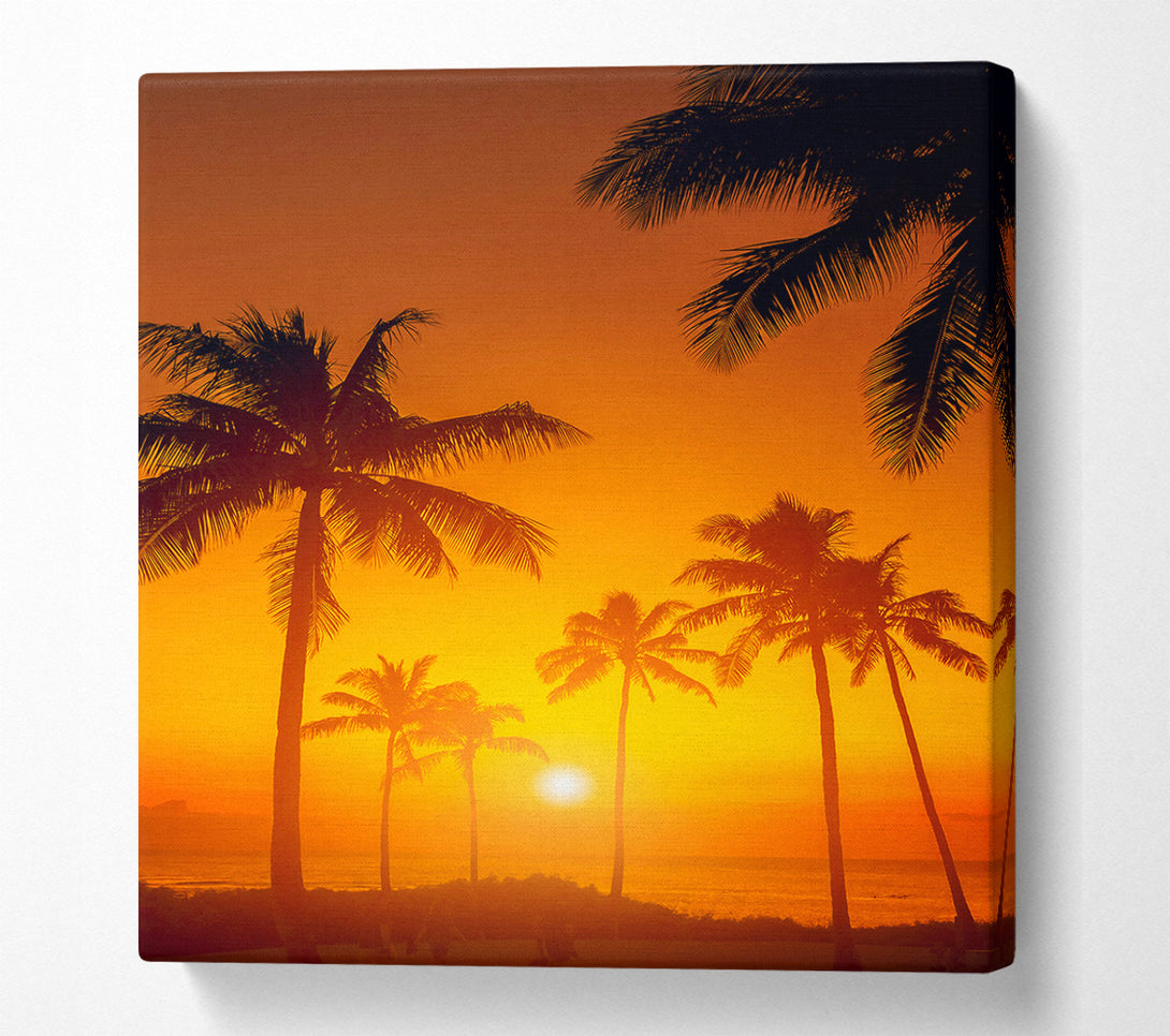  A Canvas Print of Stunning California Sunset Canvas Print