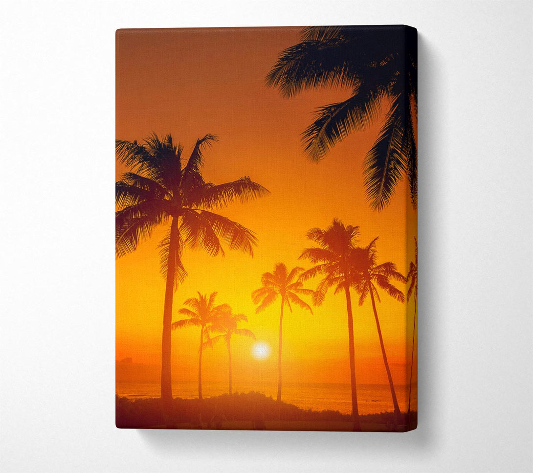  A Canvas Print of Stunning California Sunset Canvas Print