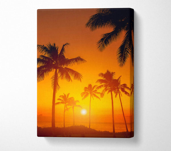  A Canvas Print of Stunning California Sunset Canvas Print