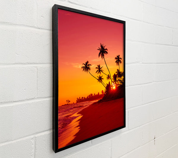 As The Sun Sets Under The Palm Trees