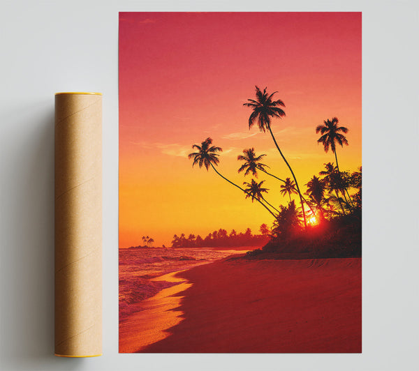 As The Sun Sets Under The Palm Trees Print