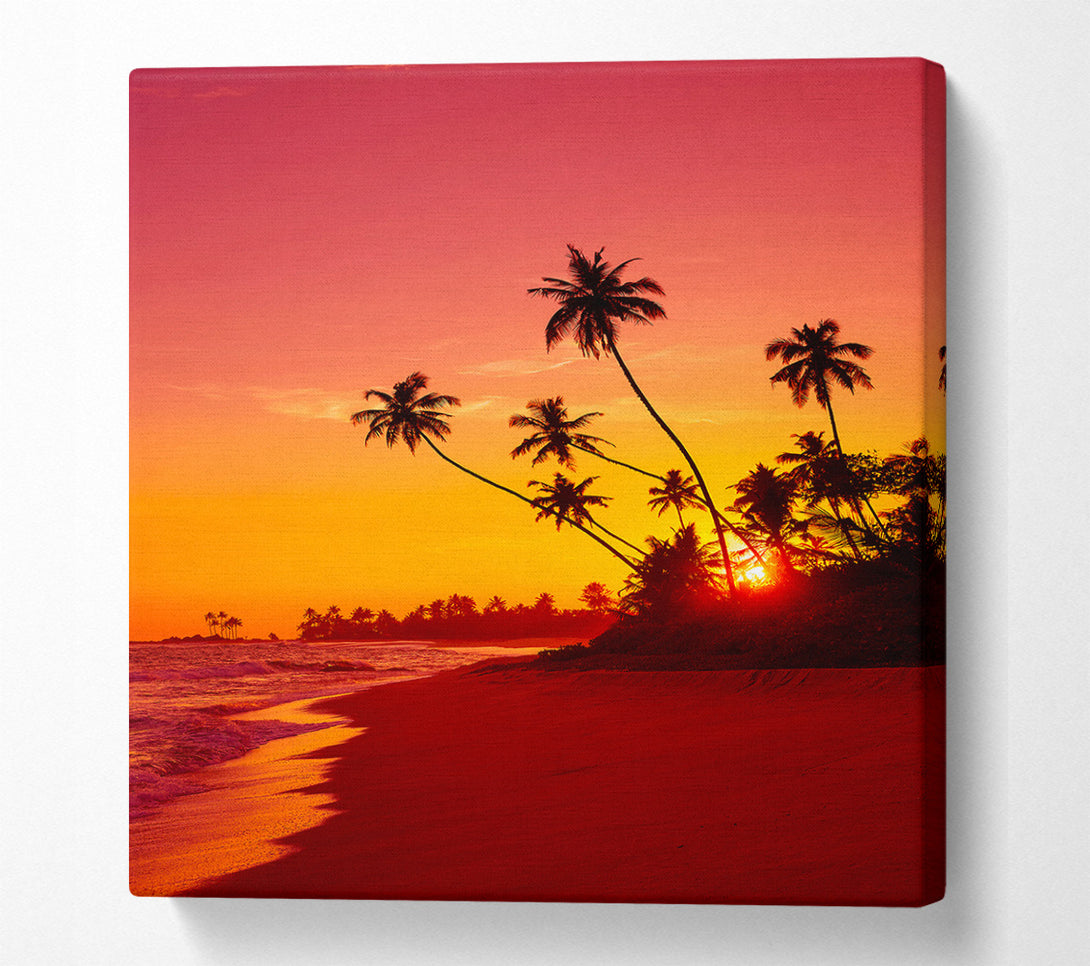  A Canvas Print of As The Sun Sets Under The Palm Trees Canvas Art