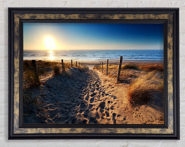 Trip To Paradise Framed Print