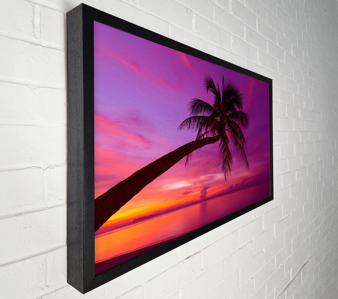  A Canvas Print of Palm Tree Skies Canvas Print