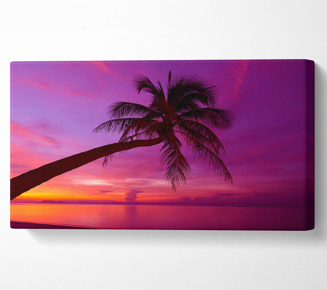  A Canvas Print of Palm Tree Skies Canvas Print