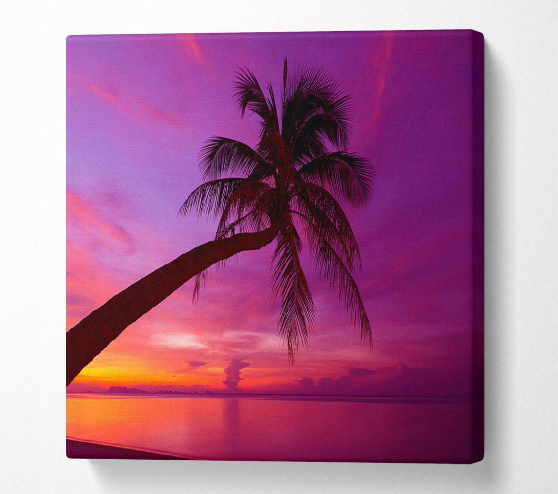  A Canvas Print of Palm Tree Skies Canvas Print