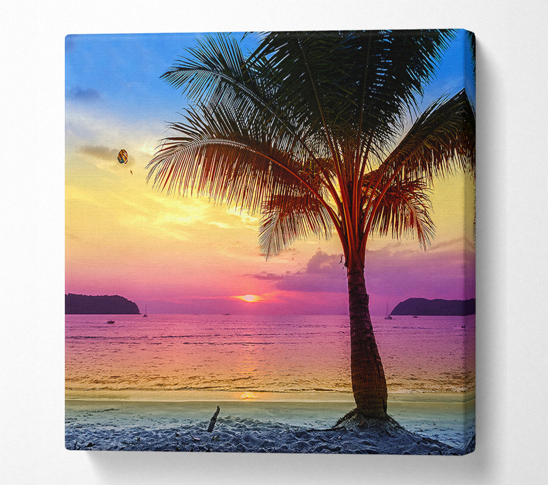  A Canvas Print of The Colours Of Paradise Canvas Wall Art