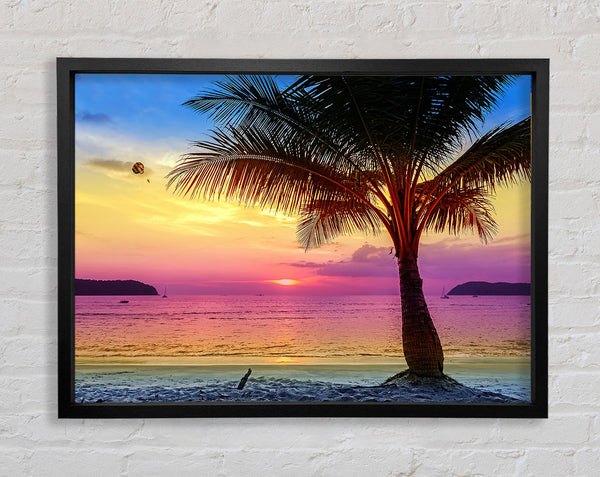 The Colours Of Paradise Framed Print