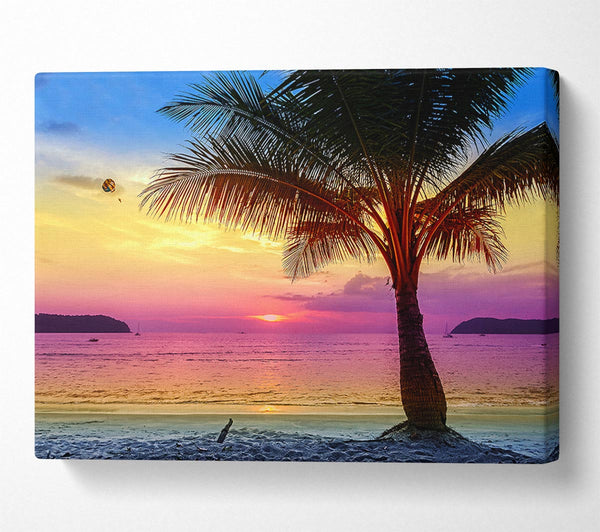  A Canvas Print of The Colours Of Paradise Canvas Wall Art