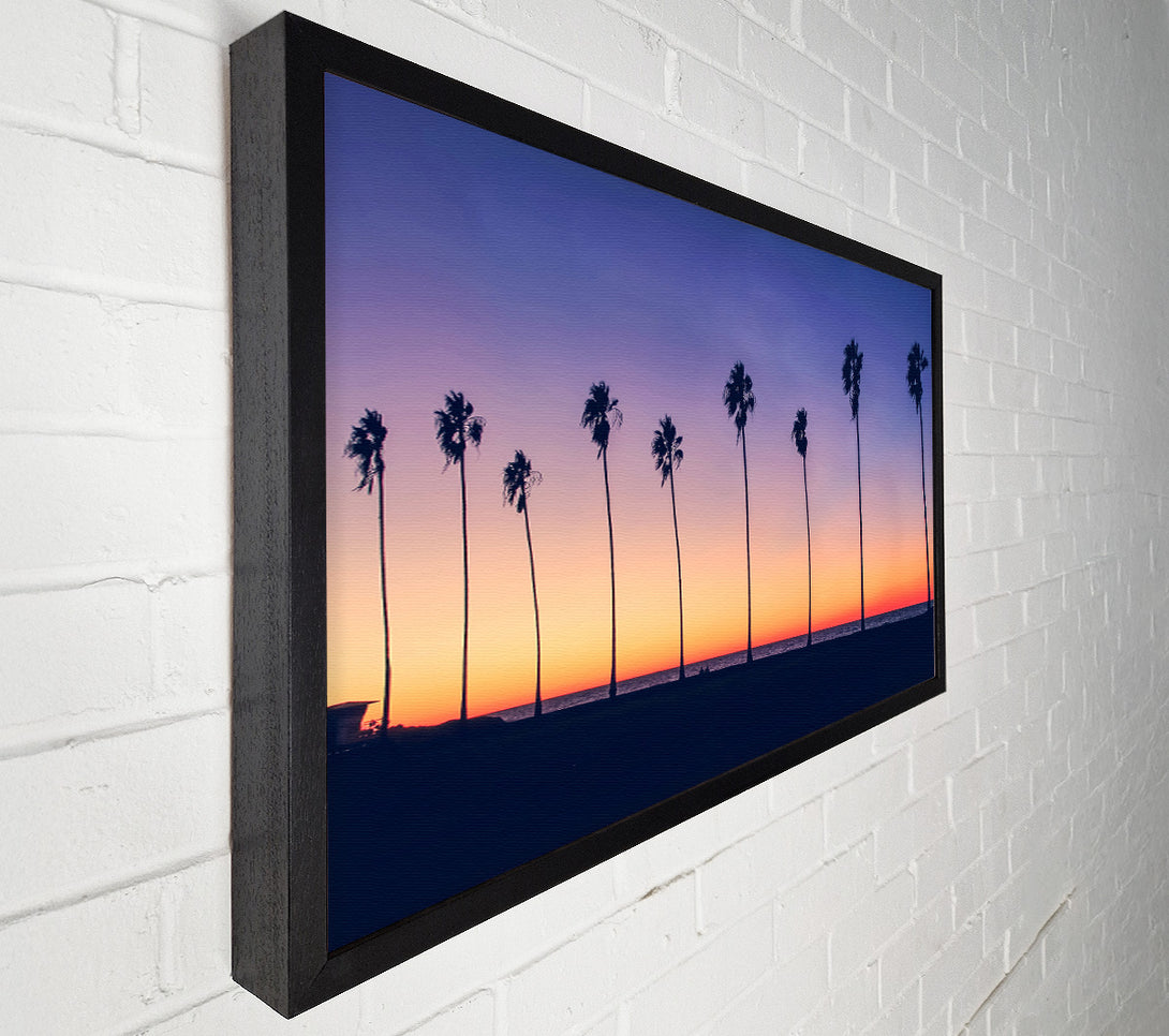  A Canvas Print of Palm Tree LineUp Canvas Wall Art