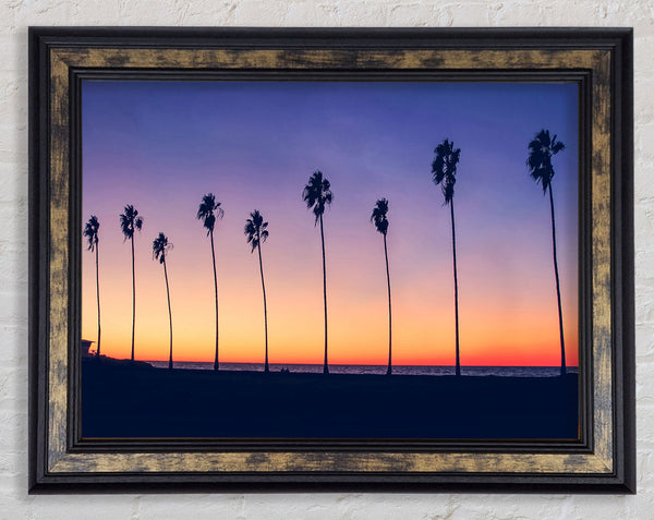 Palm Tree LineUp Framed Print