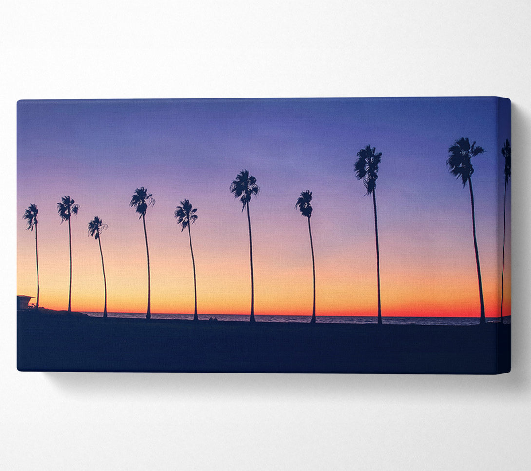  A Canvas Print of Palm Tree LineUp Canvas Wall Art
