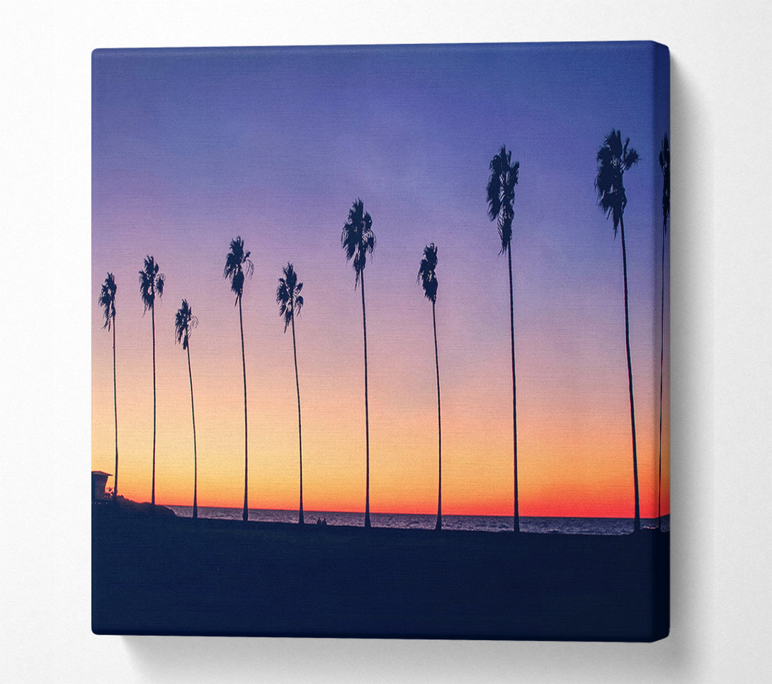  A Canvas Print of Palm Tree LineUp Canvas Wall Art