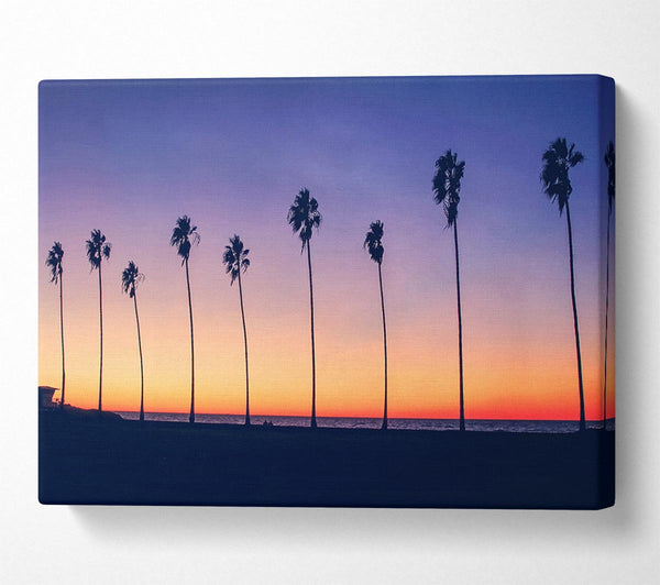  A Canvas Print of Palm Tree LineUp Canvas Wall Art