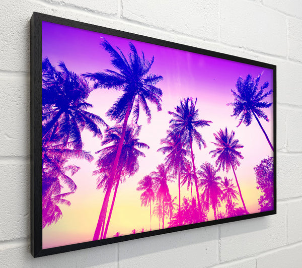 Psychedelic Palm Tree Skies