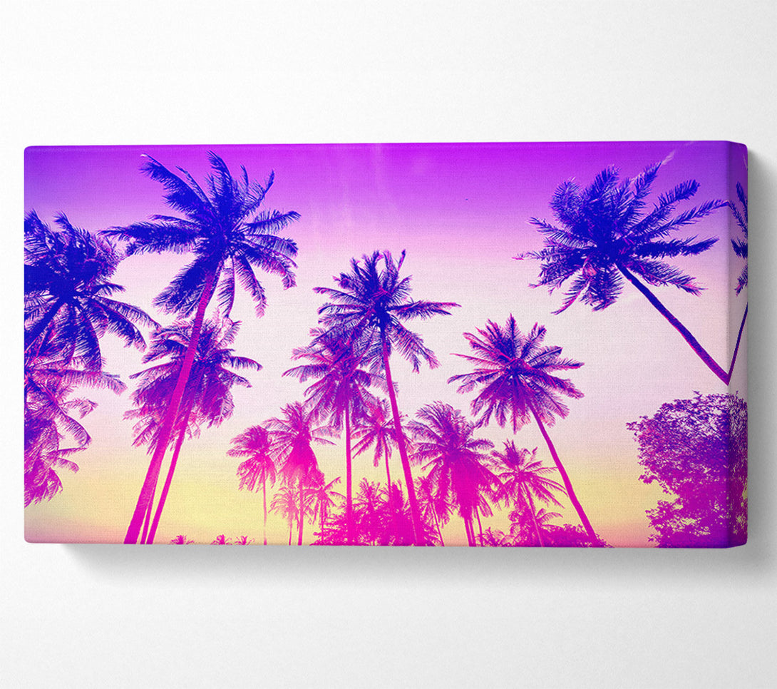  A Canvas Print of Psychedelic Palm Tree Skies Canvas Wall Art