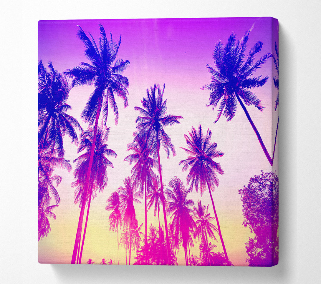  A Canvas Print of Psychedelic Palm Tree Skies Canvas Wall Art