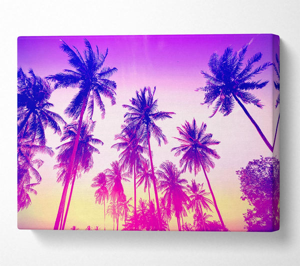  A Canvas Print of Psychedelic Palm Tree Skies Canvas Wall Art