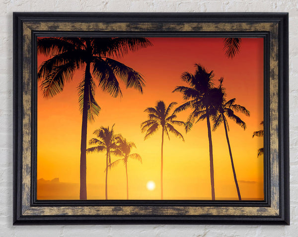 Golden 1 Framed Print