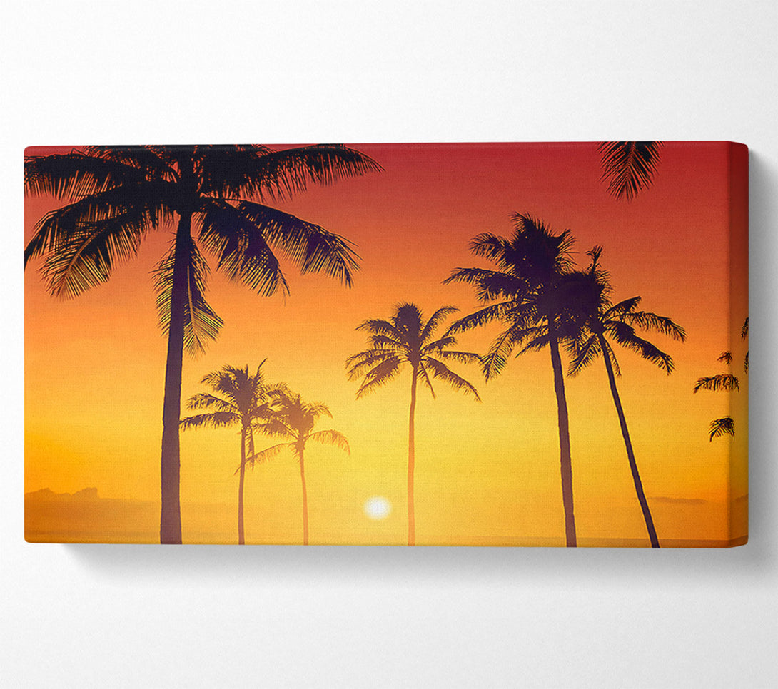  A Canvas Print of Golden 1 Canvas Wall Art