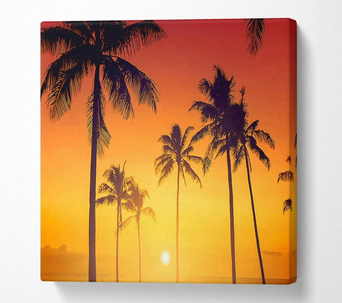  A Canvas Print of Golden 1 Canvas Wall Art