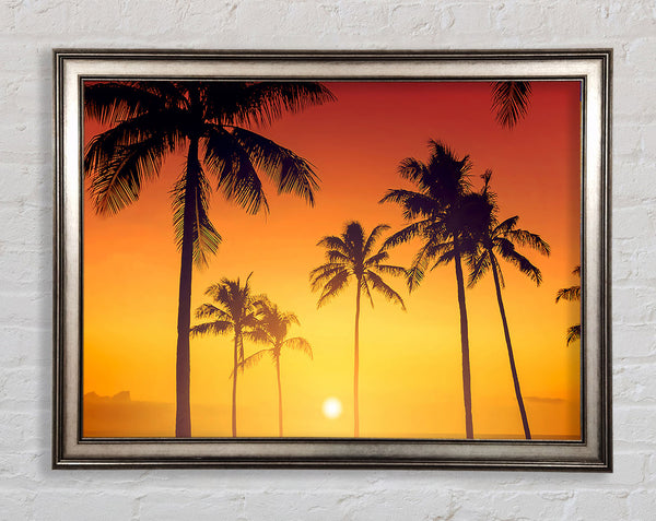 Golden 1 Framed Print