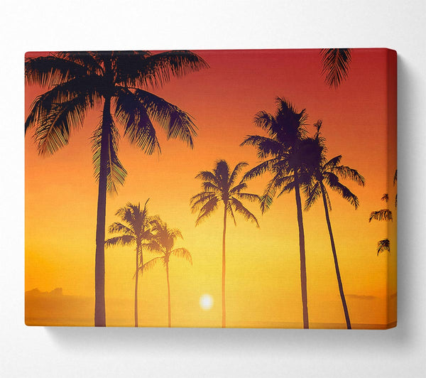  A Canvas Print of Golden 1 Canvas Wall Art