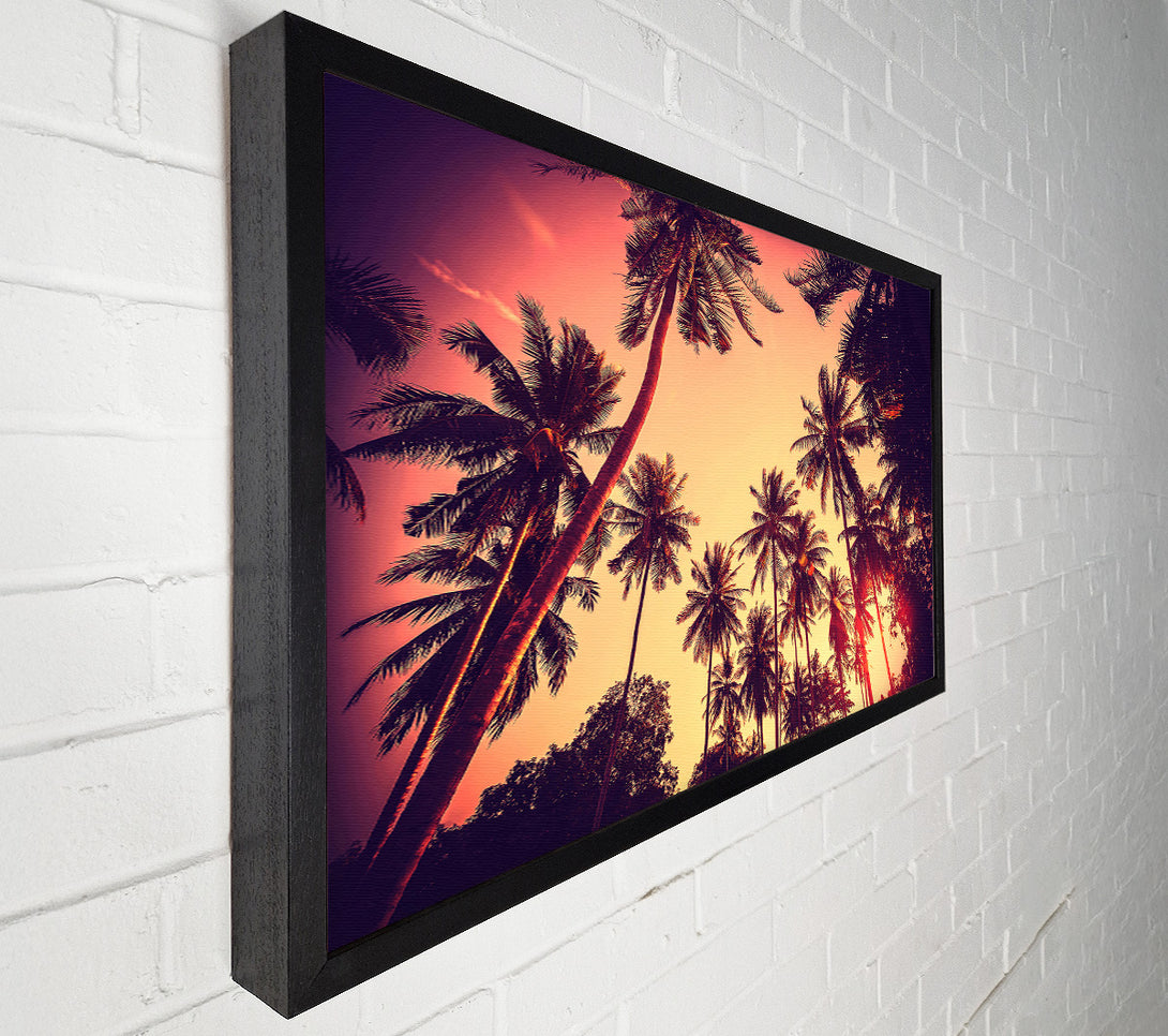  A Canvas Print of Just Palm Trees Canvas Art