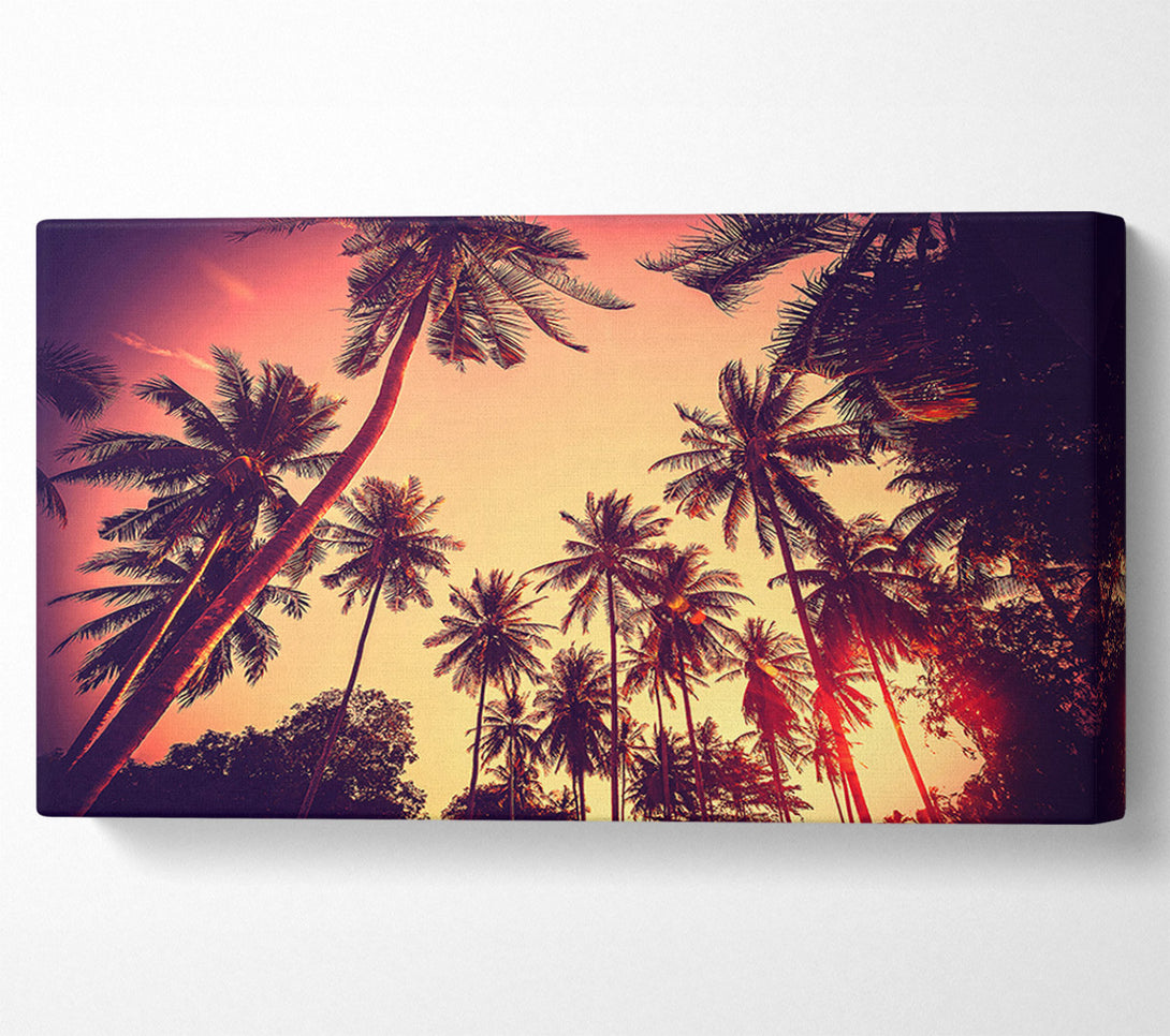  A Canvas Print of Just Palm Trees Canvas Art