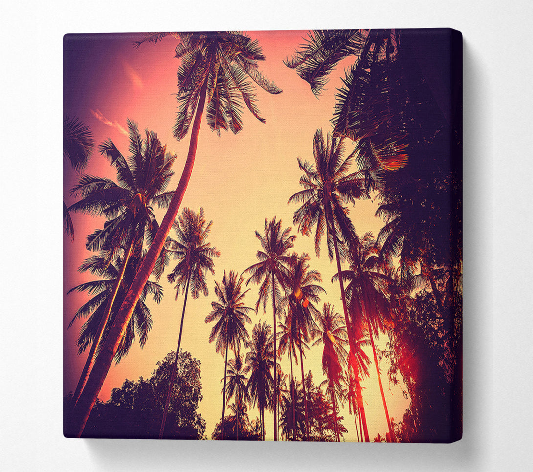  A Canvas Print of Just Palm Trees Canvas Art