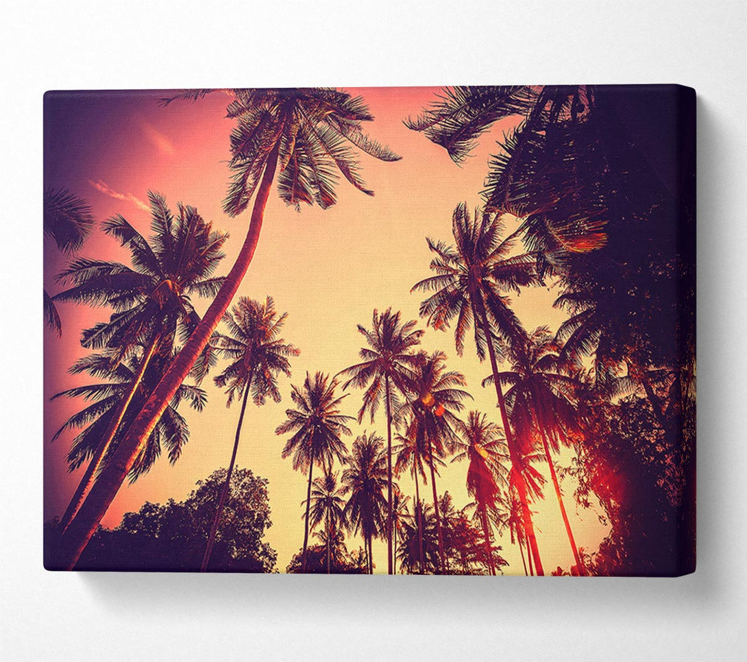  A Canvas Print of Just Palm Trees Canvas Art