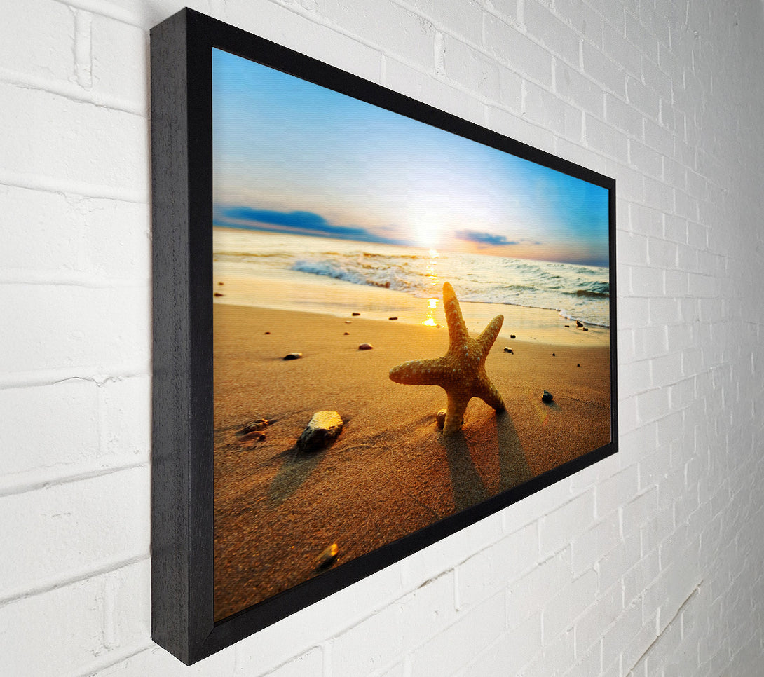  A Canvas Print of Starfish Sun Glow Canvas Print