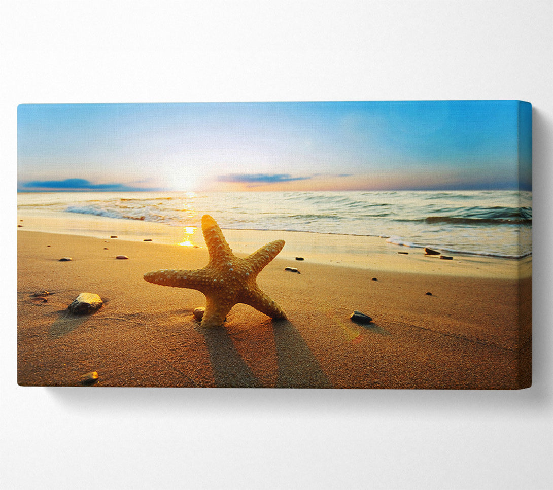  A Canvas Print of Starfish Sun Glow Canvas Print