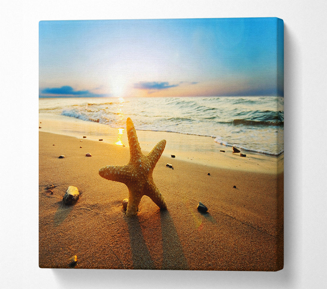  A Canvas Print of Starfish Sun Glow Canvas Print