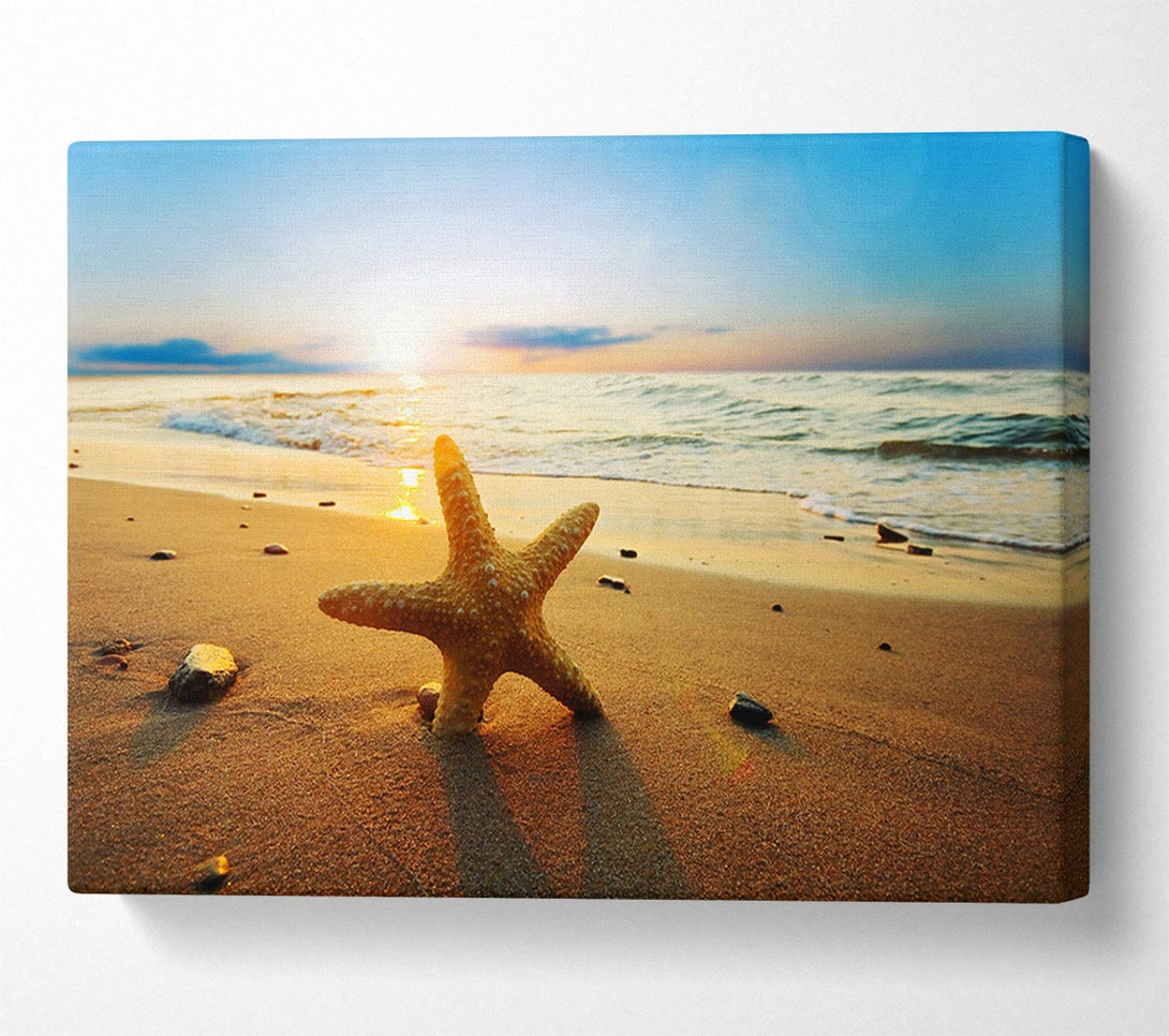  A Canvas Print of Starfish Sun Glow Canvas Print