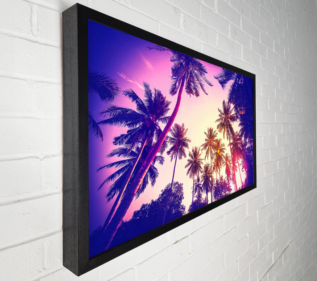  A Canvas Print of Palm Tree Glow Canvas Wall Art