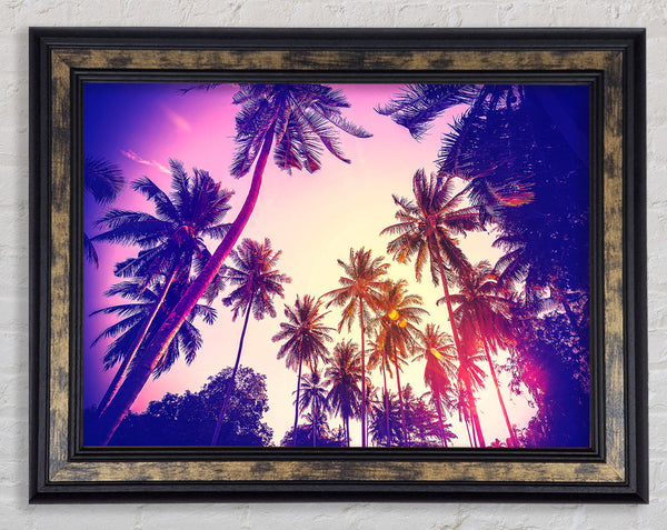 Palm Tree Glow Framed Print