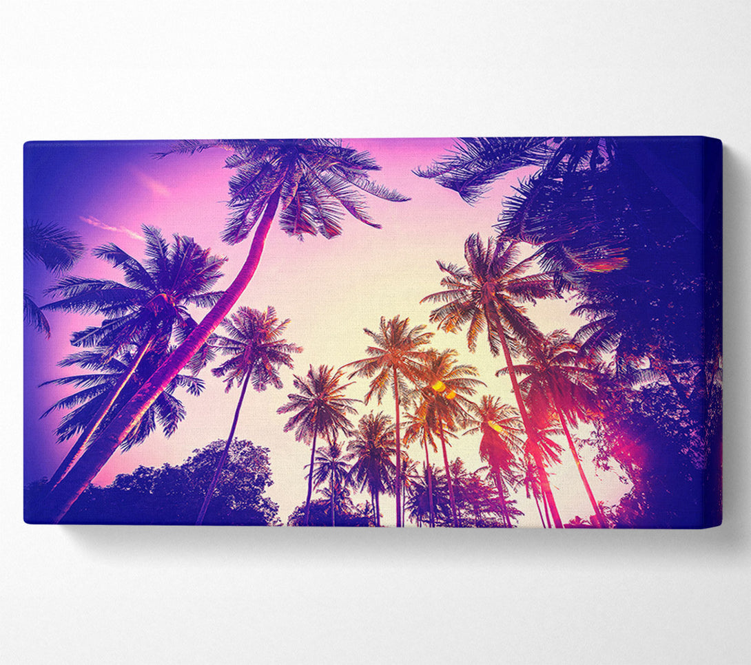  A Canvas Print of Palm Tree Glow Canvas Wall Art