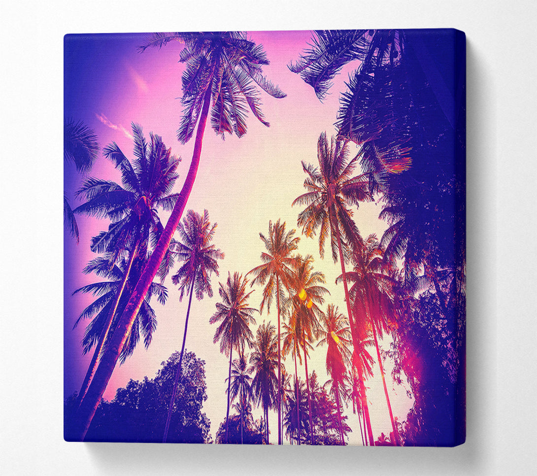  A Canvas Print of Palm Tree Glow Canvas Wall Art
