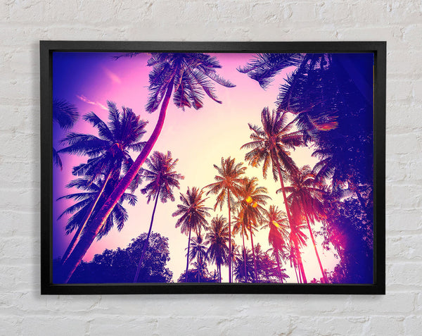 Palm Tree Glow Framed Print