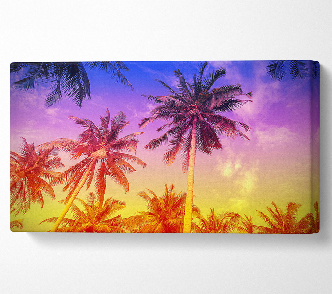  A Canvas Print of Palm Tree Paradise Canvas Wall Art