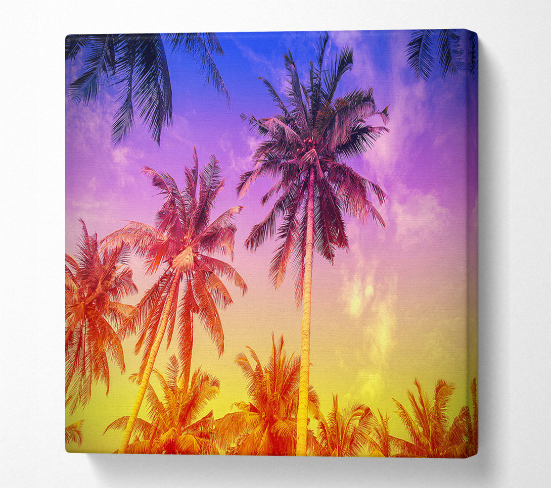  A Canvas Print of Palm Tree Paradise Canvas Wall Art