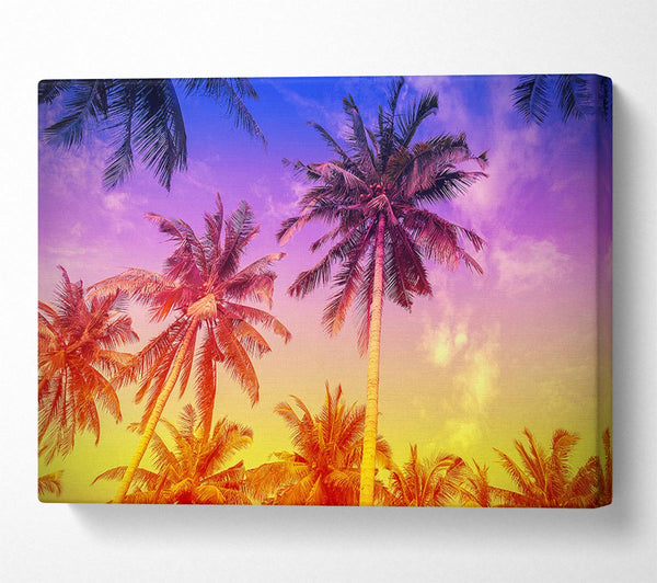  A Canvas Print of Palm Tree Paradise Canvas Wall Art