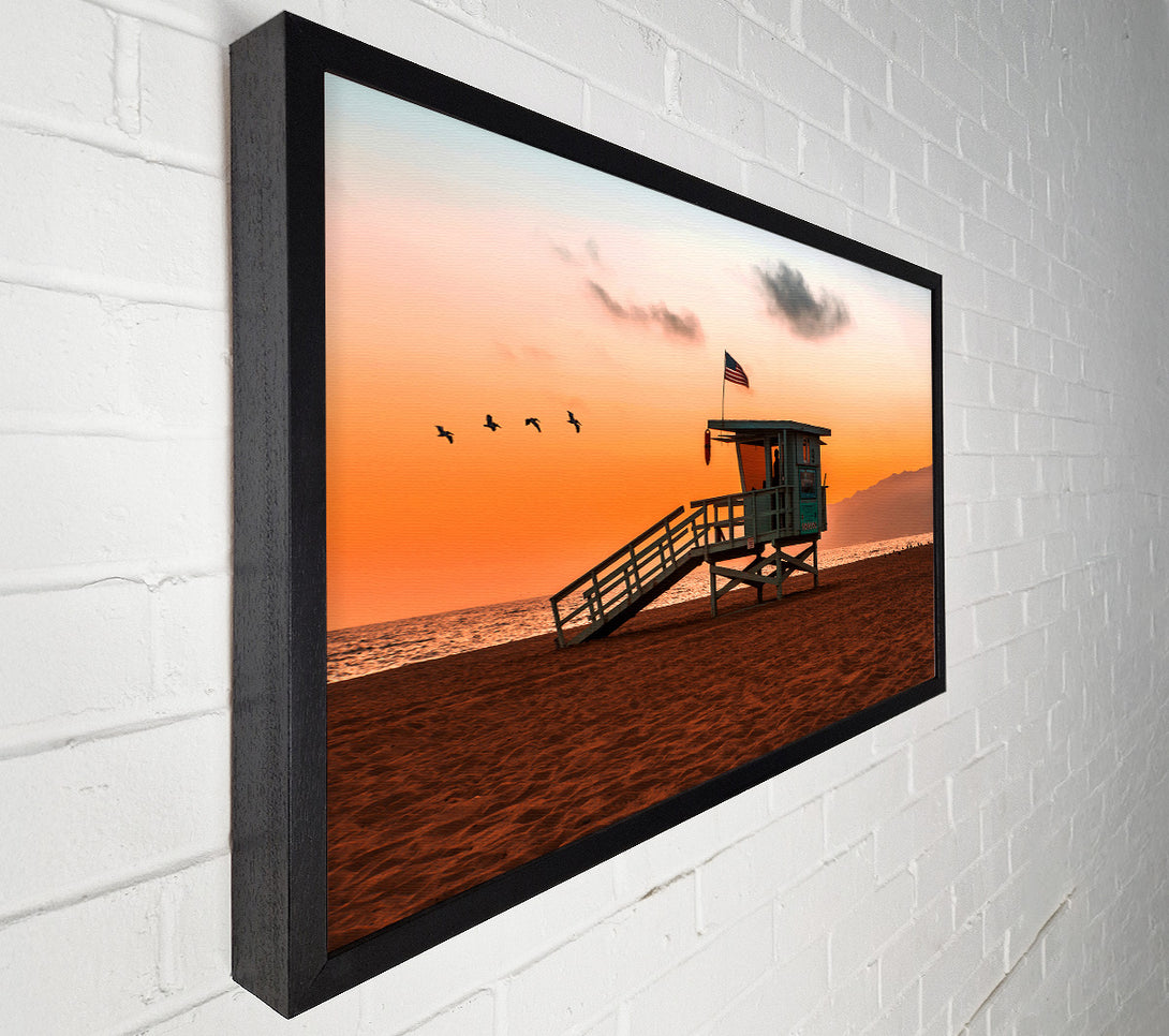  A Canvas Print of Birds Of Paradise Canvas Print