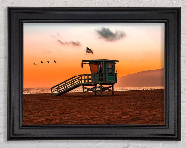 Birds Of Paradise Framed Print