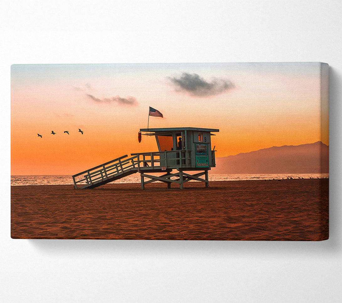  A Canvas Print of Birds Of Paradise Canvas Print