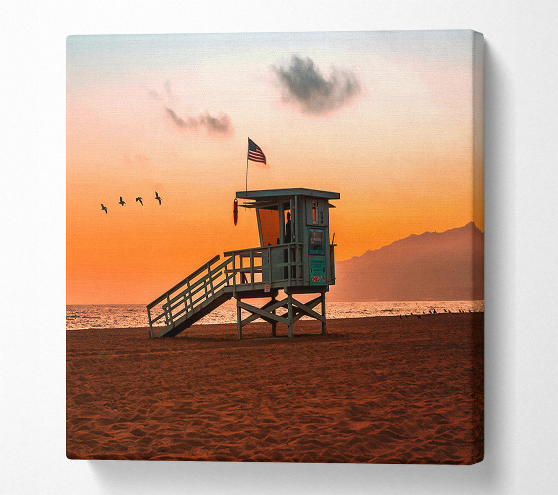  A Canvas Print of Birds Of Paradise Canvas Print