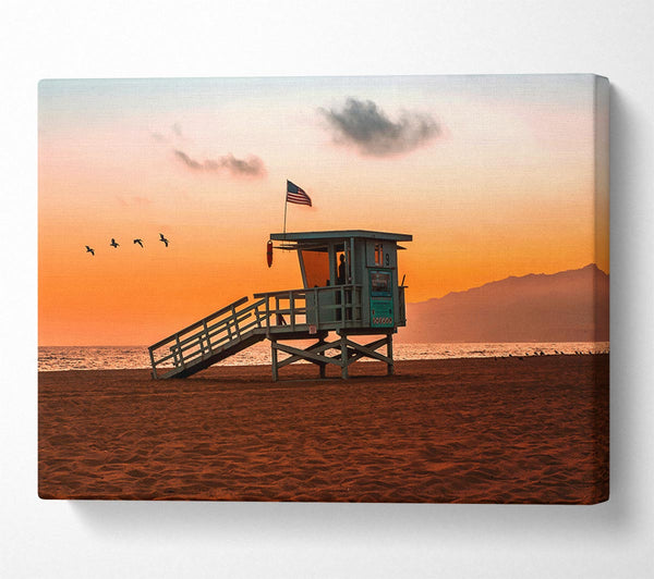  A Canvas Print of Birds Of Paradise Canvas Print