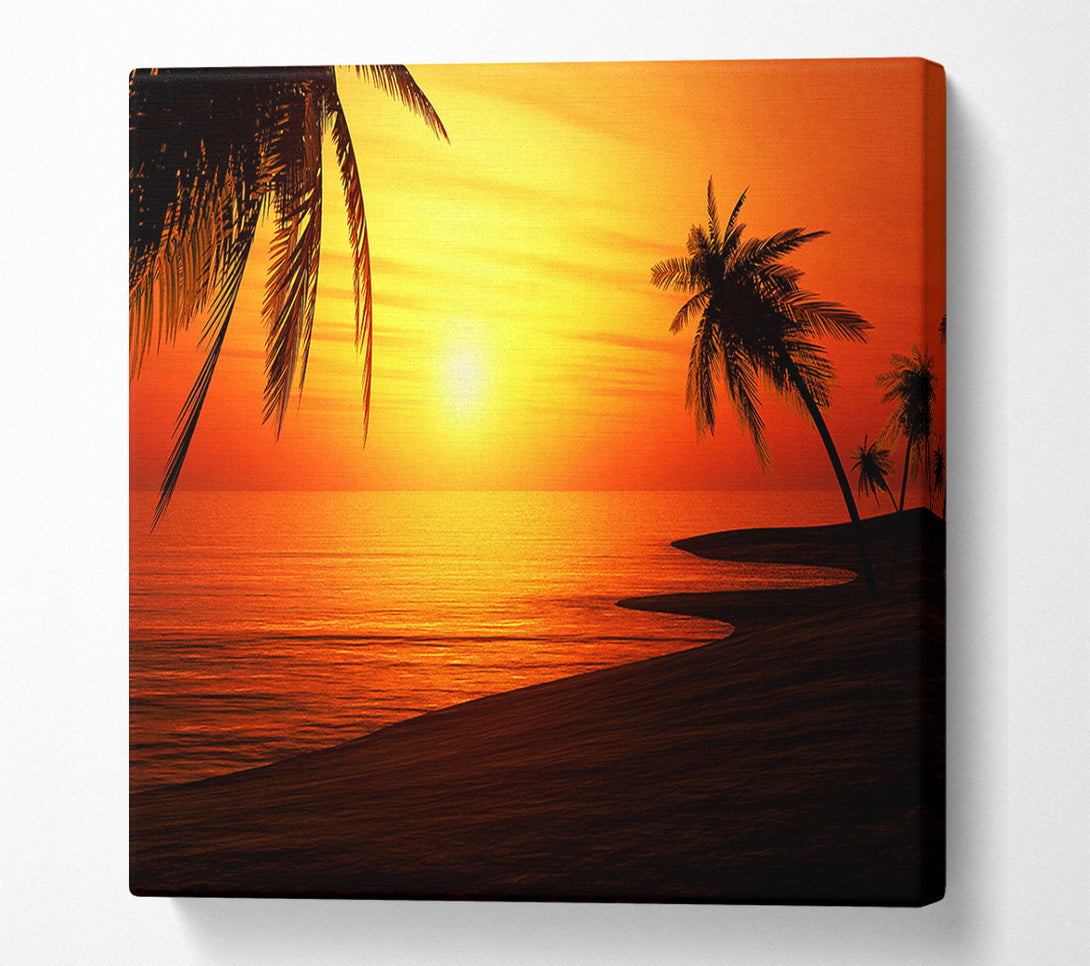  A Canvas Print of Sun Glow Canvas Art